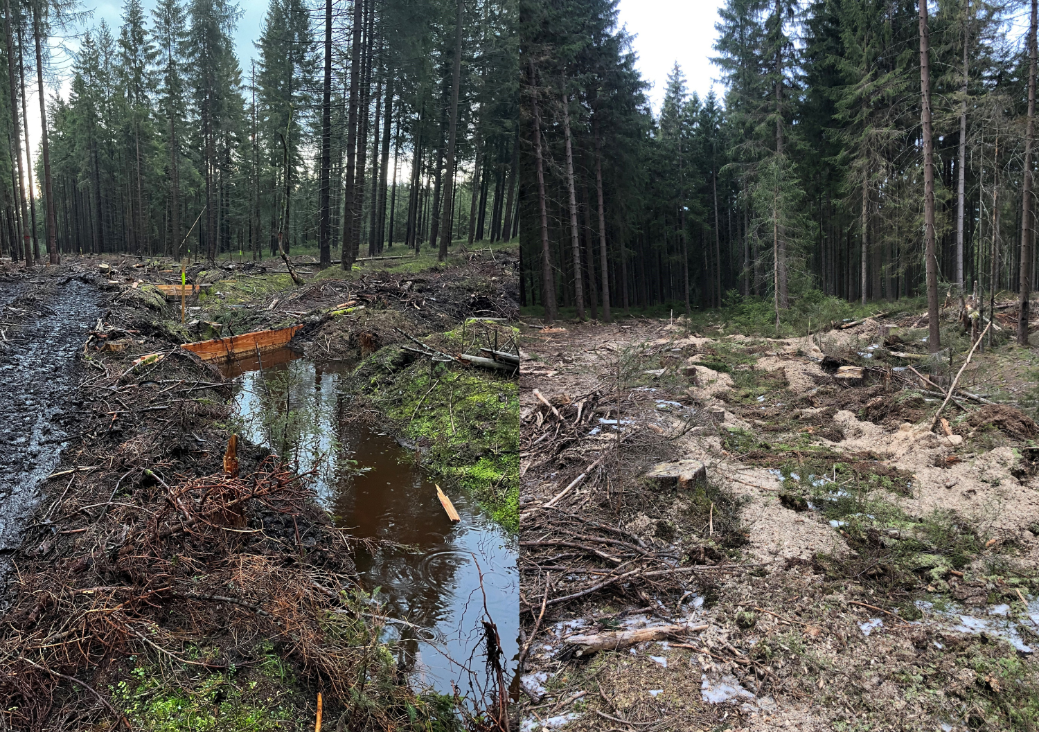 Foto zeigt der Holzspundwände im November (links) und anschließend die Verfüllung der Gräben in Dezember und Januar (rechts)