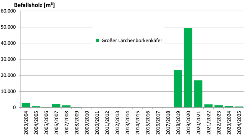 Balkendiagramm mit grünen Balken