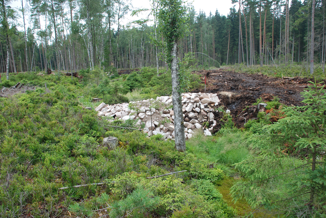 Blick auf einen Haufen Wasserbausteine im Moorgebiet.