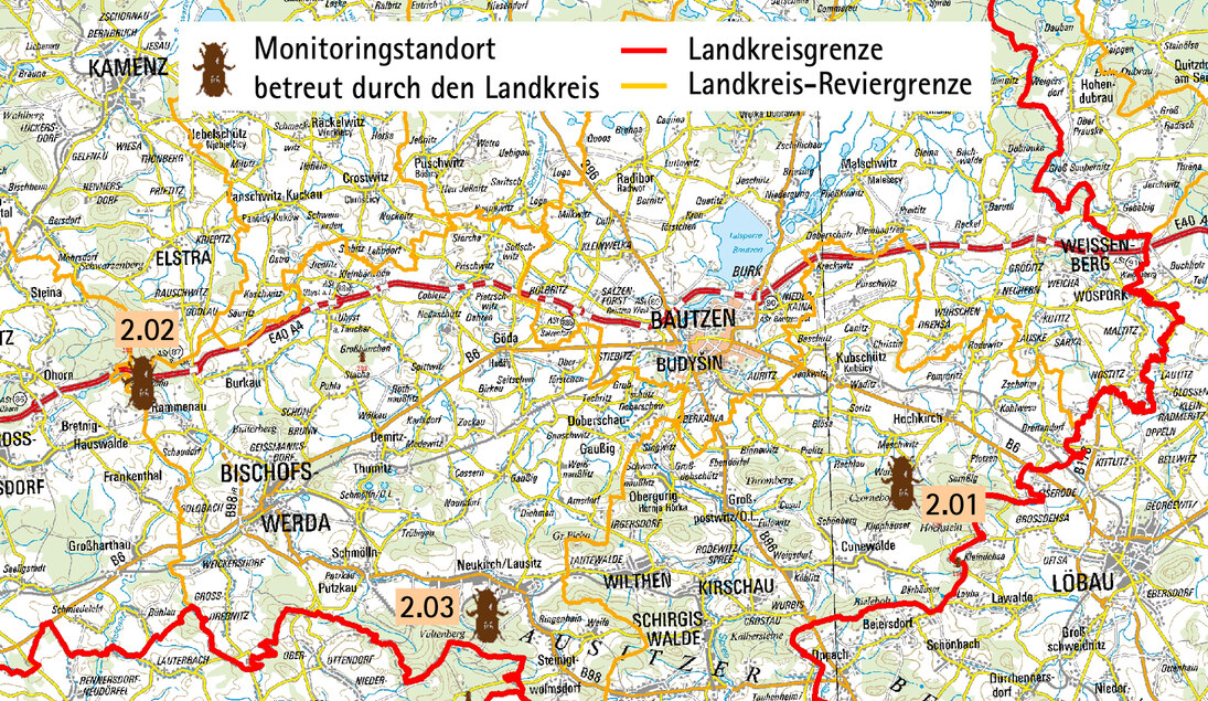 Borkenkäfermonitoring im Landkreis Bautzen - Wald, Forstwirtschaft