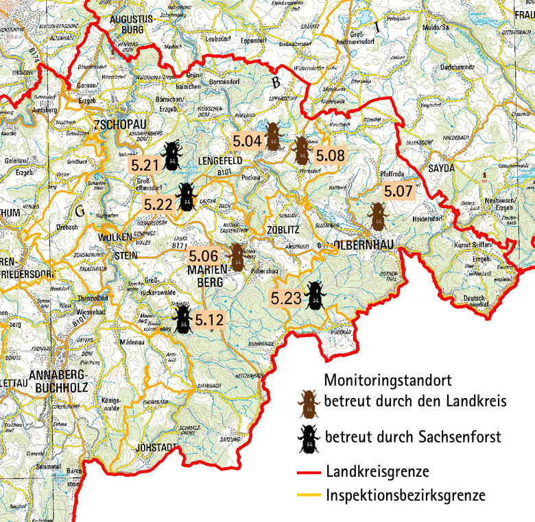 Borkenkäfermonitoring im Erzgebirgskreis - Wald, Forstwirtschaft, Jagd