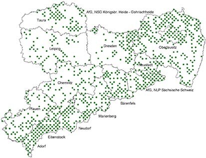 Karte von Sachsen mit eingezeichneten Waldinventurtrakten