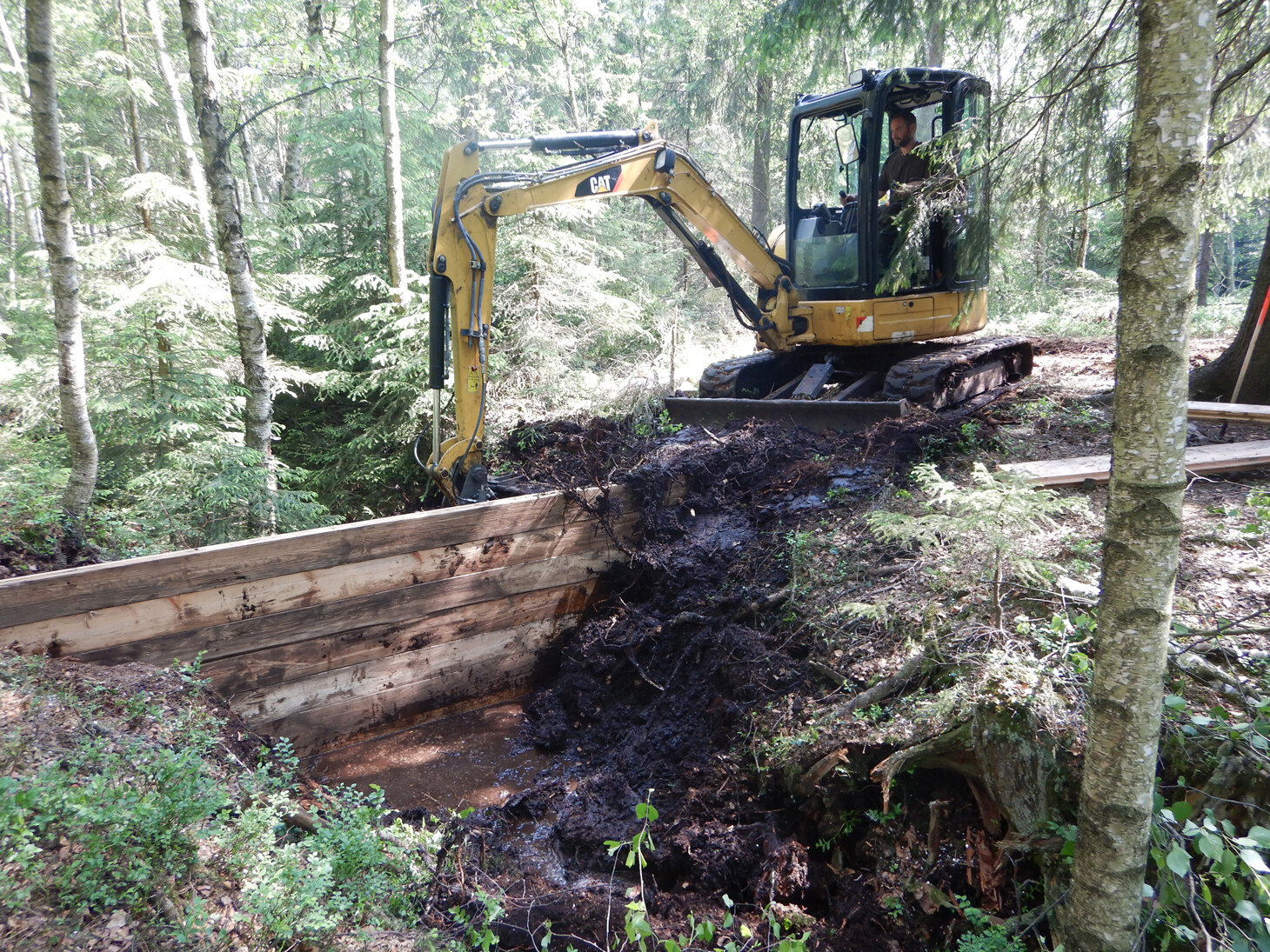 Kleinbagger bei der Arbeit im Gelände