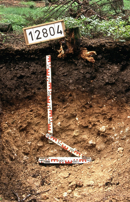 Foto: Bodengrube der Standorterkundung mit Messlatte