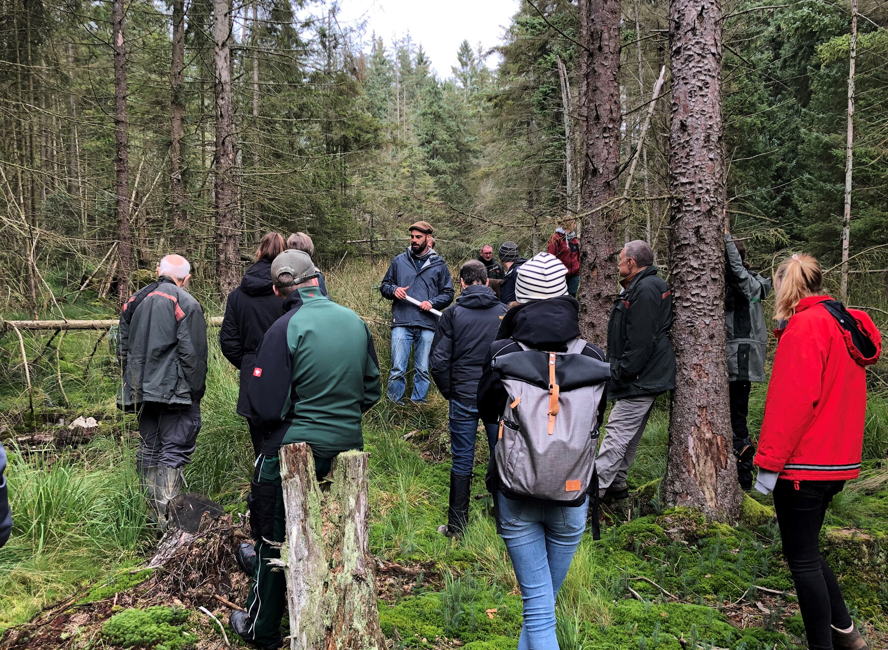 Die Exkursionsteilnehmer im Wald