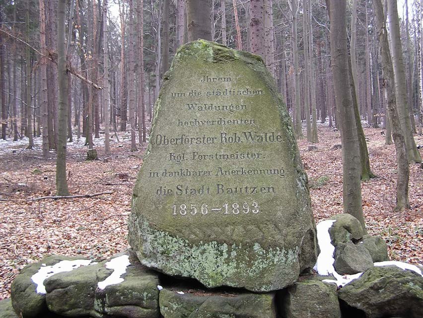 Kulturdenkmale Wald, Forstwirtschaft, Jagd sachsen.de
