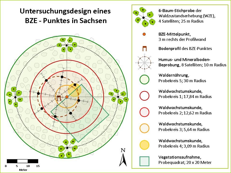 Schematische Darstellung der Geländearbeiten an einem BZE-Punkt