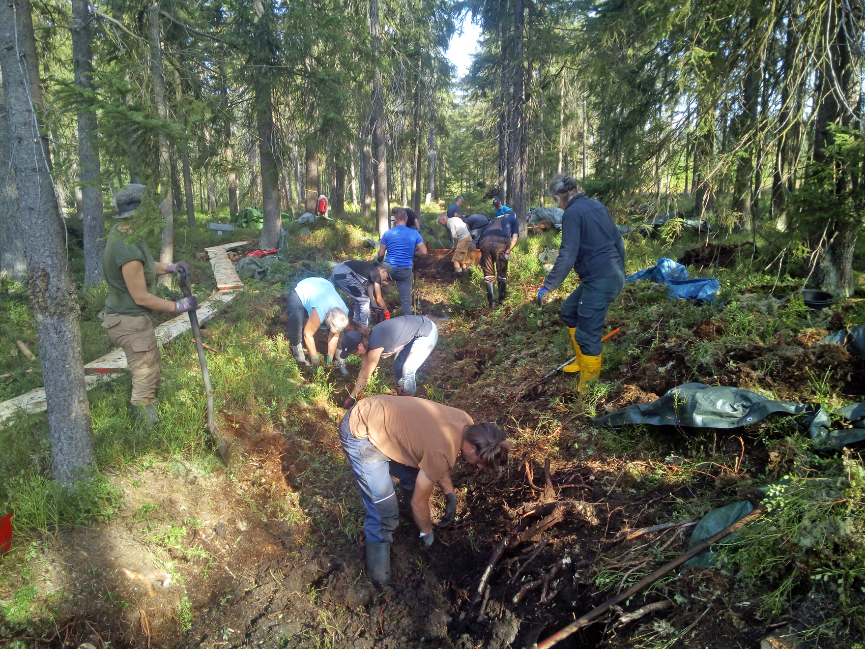 Mitarbeiter arbeiten im Wald in einem Graben