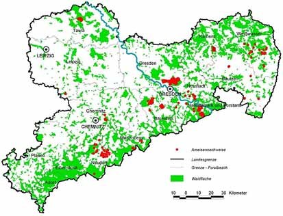 Karte: Kartierungsergebnisse aller Ameisenvorkommen in Sachsen