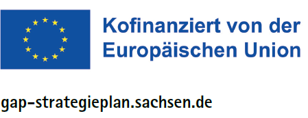 Logo der EU und Text: Kofinanziert von der Europäischen Union