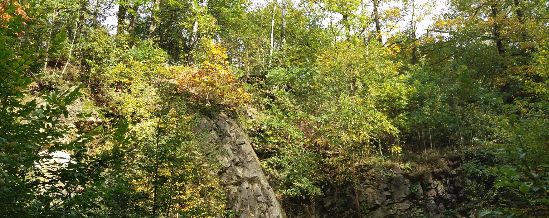 Von dichtem Grün überwuchertes Gestein