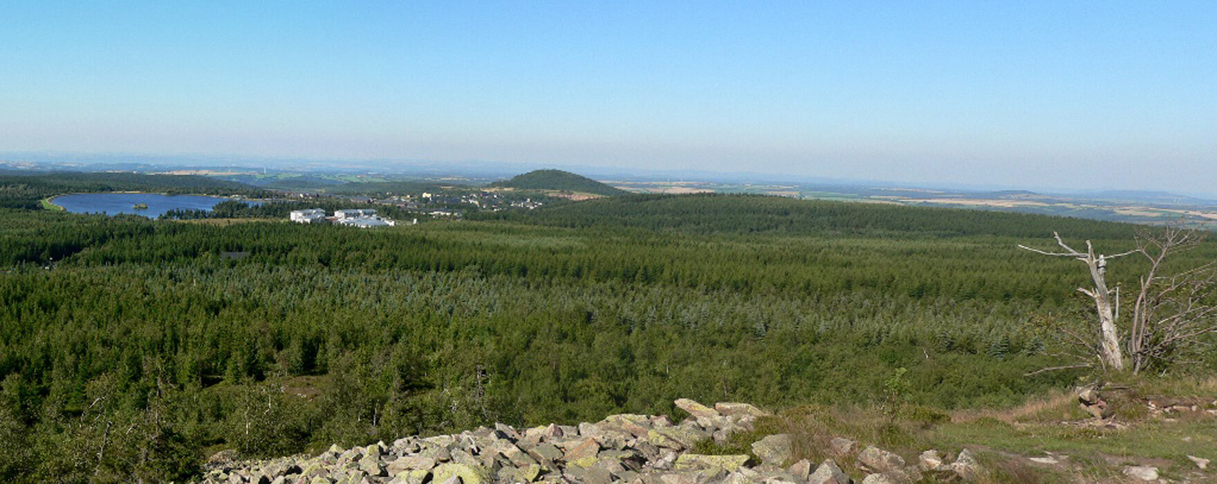 Blick über die Wälder