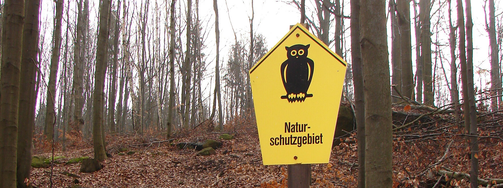 Blick in einen Wald, im Vordergrund ein Naturschutz-Schild