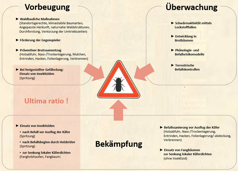 Schema: Konzept einer integrierten Borkenkäferbekämpfung
