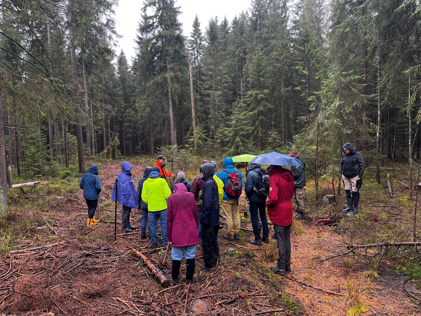 Blick auf die Exkursionsgruppe im Wald.