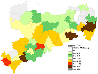 Stehendbefall durch Borkenkäfer im Juni 2009 in den Landkreisdistrikten