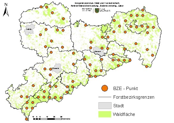 Karte: Verteilung der BZE-Punkte auf dem 8x8-km-Raster in Sachsen
