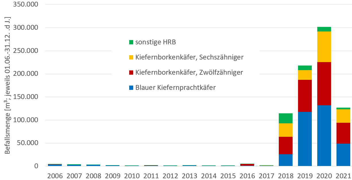 Säulendiagramm