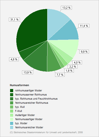 Diagramm: Anteile der Humusformen der BZE
