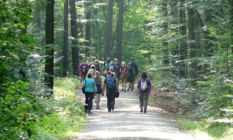 Wanderer auf Waldweg