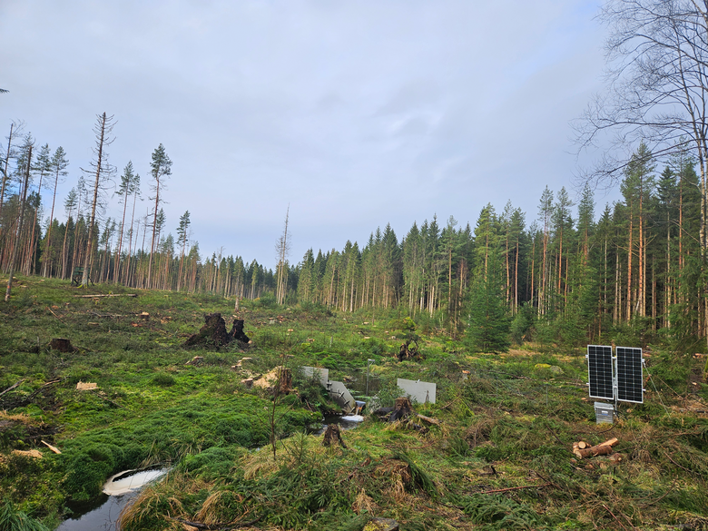 Blick auf die gerodete Fläche mit der Messstation im Voprdergrund.