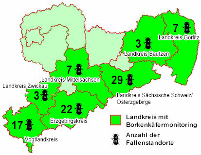 Übersichtskarte von Sachsen mit den farblich markierten Landkreisen mit Borkenkäfermonitoring